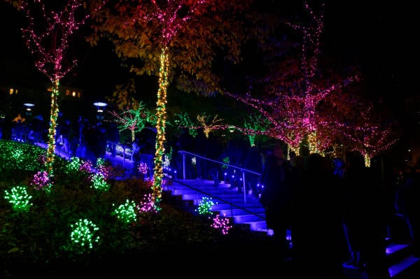 Jardin lumineux de la Montée de la Grande Côte