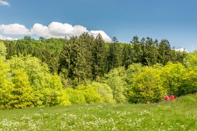 Randonnée 1000 pas aux Mille Etangs