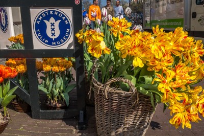 Musée de la Tulipe Amsterdam