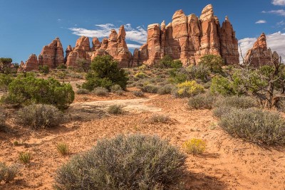 Canyonlands National Park, The Needles