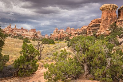 Canyonlands National Park, The Needles