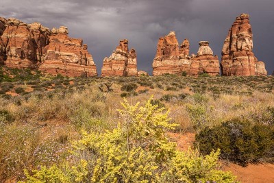 Canyonlands National Park, The Needles
