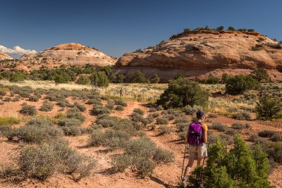 Canyonlands National Park : Aztec Butte trail