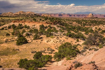 Canyonlands National Park : Aztec Butte trail