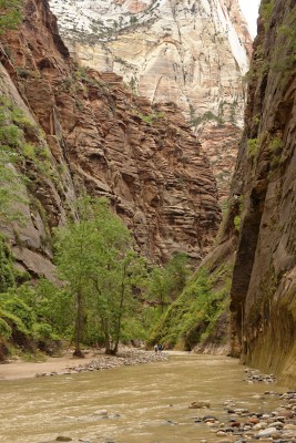  Zion National Park Riverside Walk