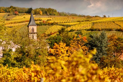 Alsace Ribeauvillé