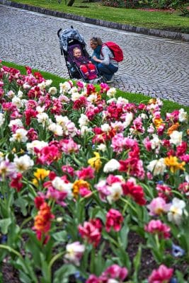 Visiter les jardins de la Villa Taranto à Verbania