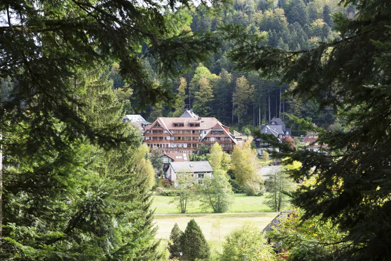 Forêt Noire : Hinterzarten