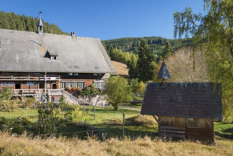 Randonnée en Forêt Noire : Sankt Blasien 