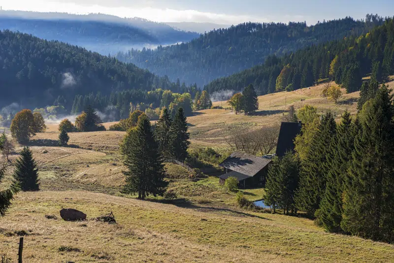 Randonnée en Forêt Noire : Sant Blasien 