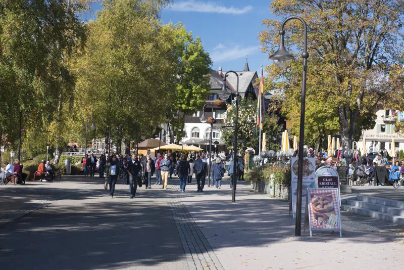 Week End en forêt Noire : Titisee