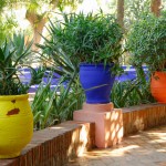 Le Jardin Majorelle à Marrakech