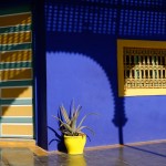 Le Jardin Majorelle à Marrakech