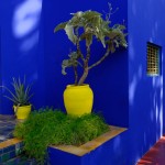 Le Jardin Majorelle à Marrakech