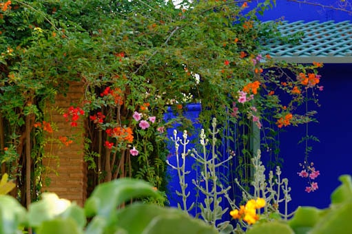 Le Jardin Majorelle de Marrakech