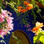 Le Jardin Majorelle à Marrakech