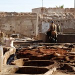 Préparation du cuir dans une tannerie de Marrakech, traitement des peaux