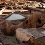 Préparation du cuir dans une tannerie de Marrakech, traitement des peaux