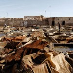 Préparation du cuir dans une tannerie de Marrakech,traitement des peaux