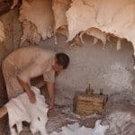 Préparation du cuir dans une tannerie de Marrakech, travail des peaux