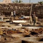 Préparation du cuir dans une tannerie de Marrakech