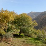 La vallée de l'Ourika