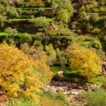 La vallée de l'Ourika