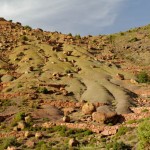 La vallée de l'Ourika