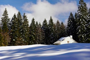 Randonnée raquettes dans le Haut Doubs