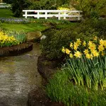 Allées du Keukenhof