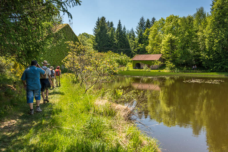 Randonnée 1000 pas aux Mille Etangs