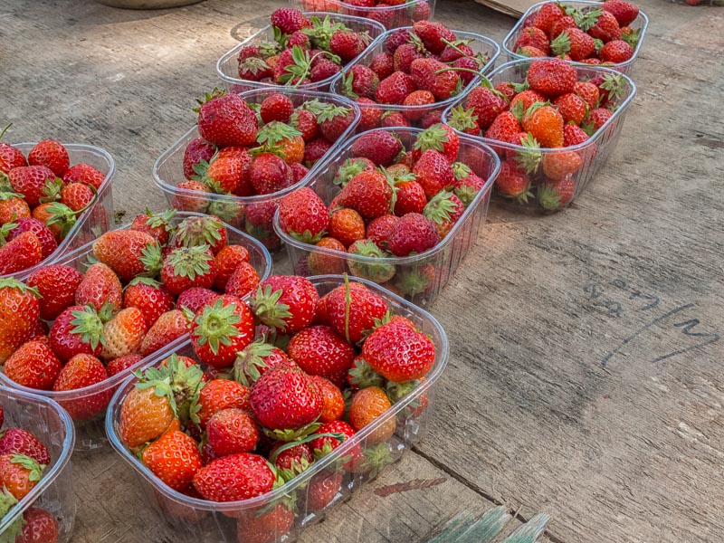 Fraises du marché de Lyon quai Saint Antoine