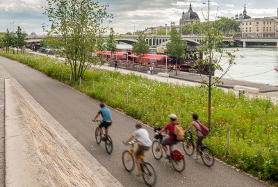 Les berges du Rhône