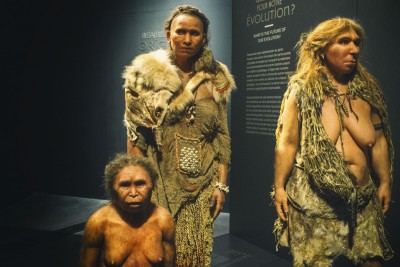 Musée des confluences : Les origines de l'Homme