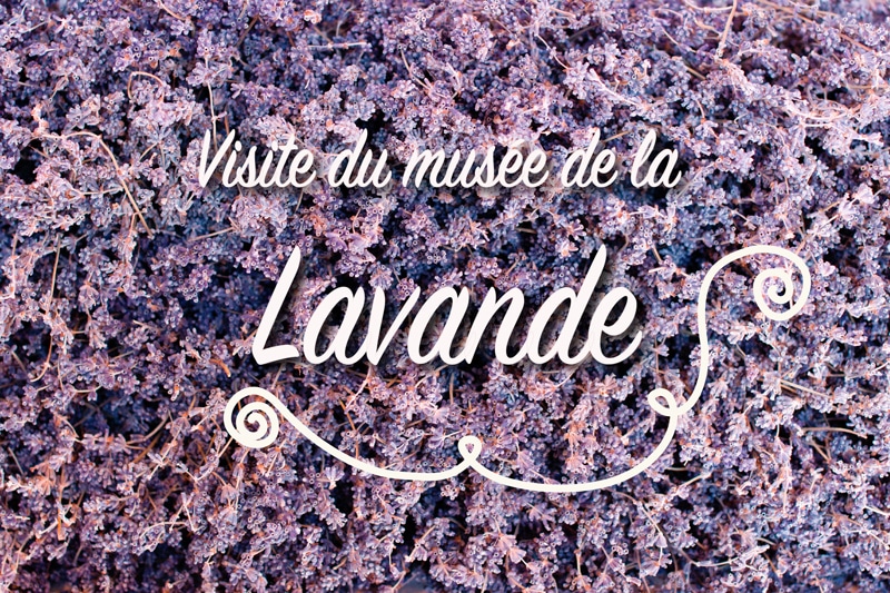 On a eu du nez en visitant le musée de la lavande en Provence !