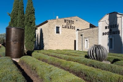 Visite du musée de la lavande en Provence