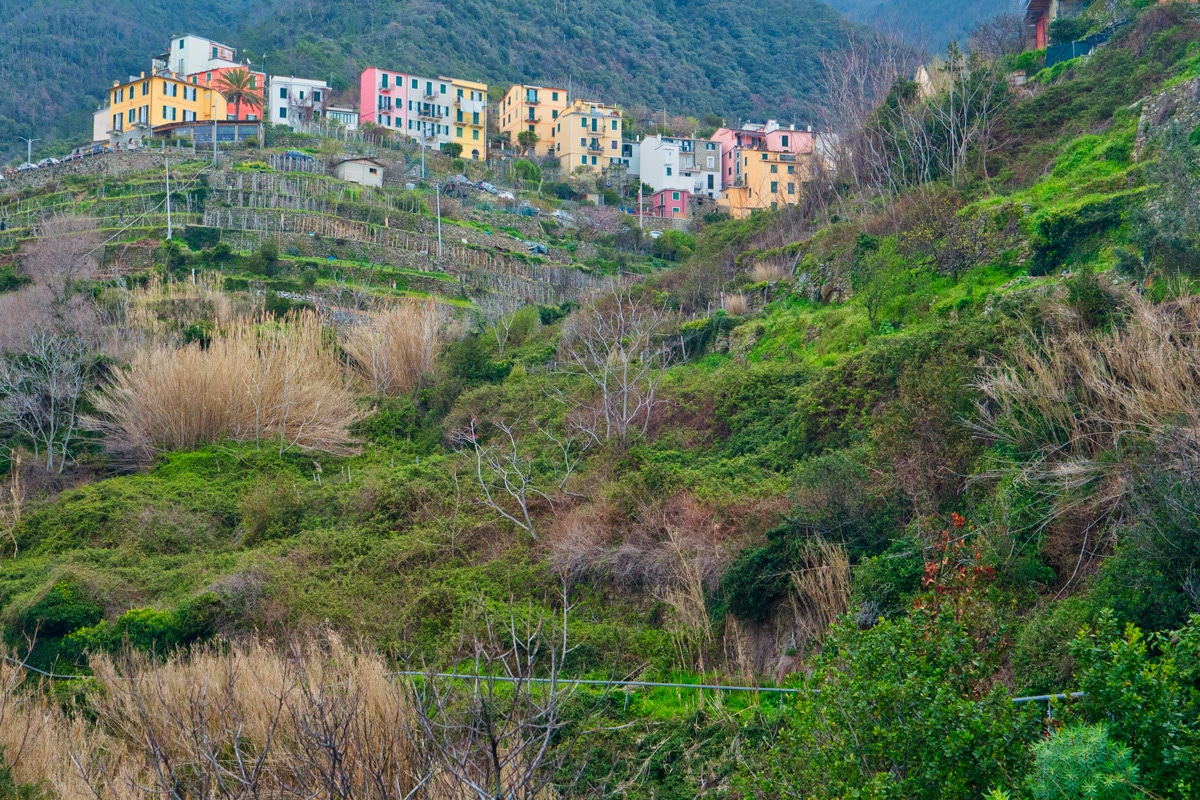 Village de Corniglia