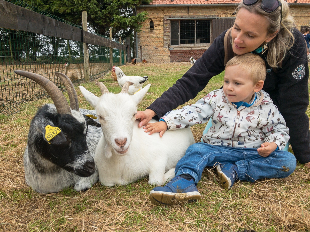 A la ferme dans le Marquenterre