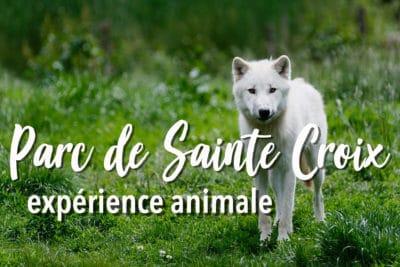 Visiter le parc de Sainte Croix