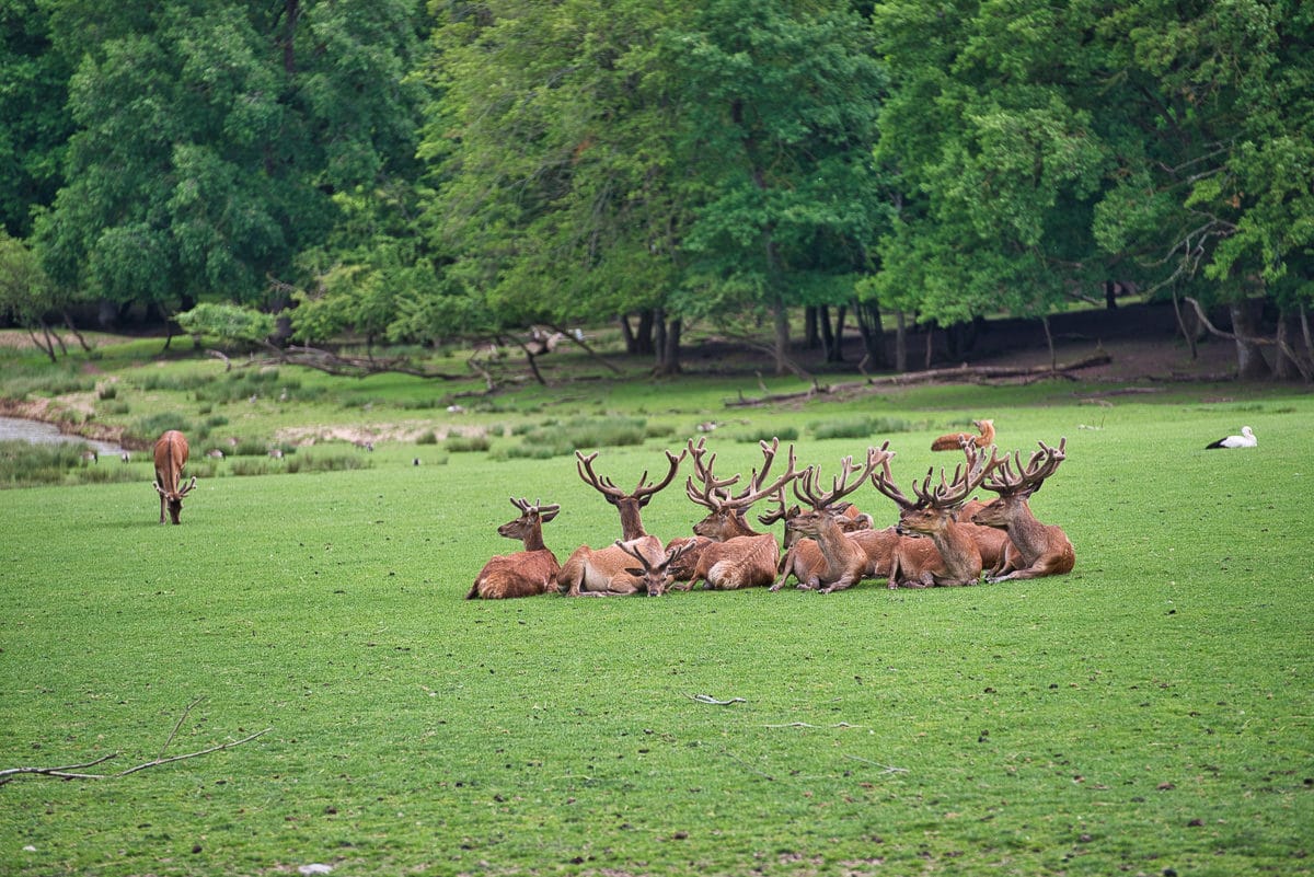 Visiter le Parc de Sainte-Croix 