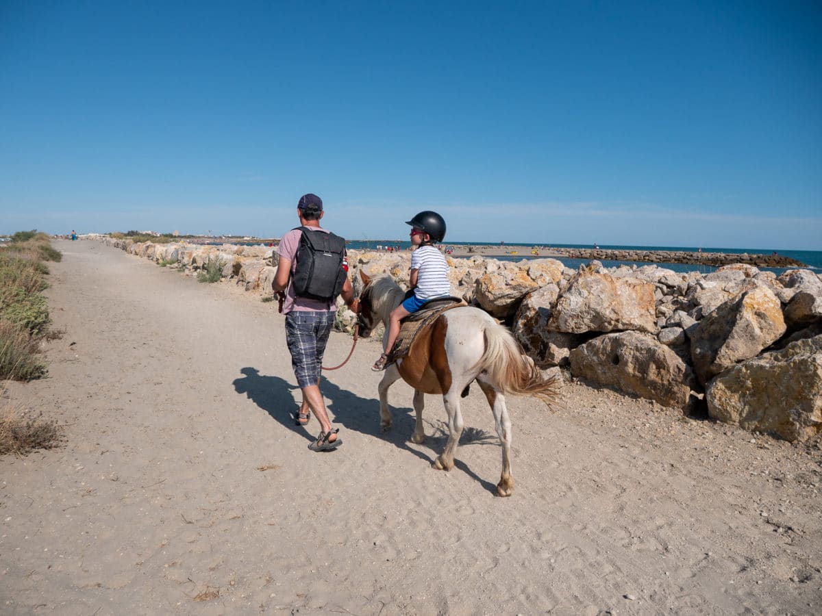 Balade à poney en Camargue