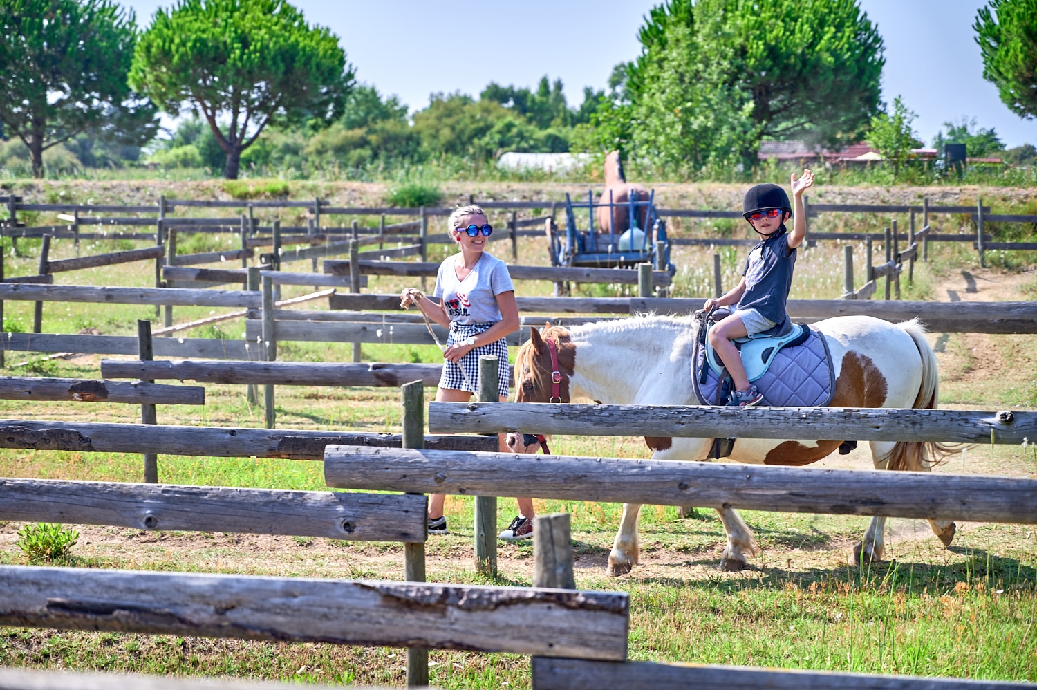 Poney à Sérignan