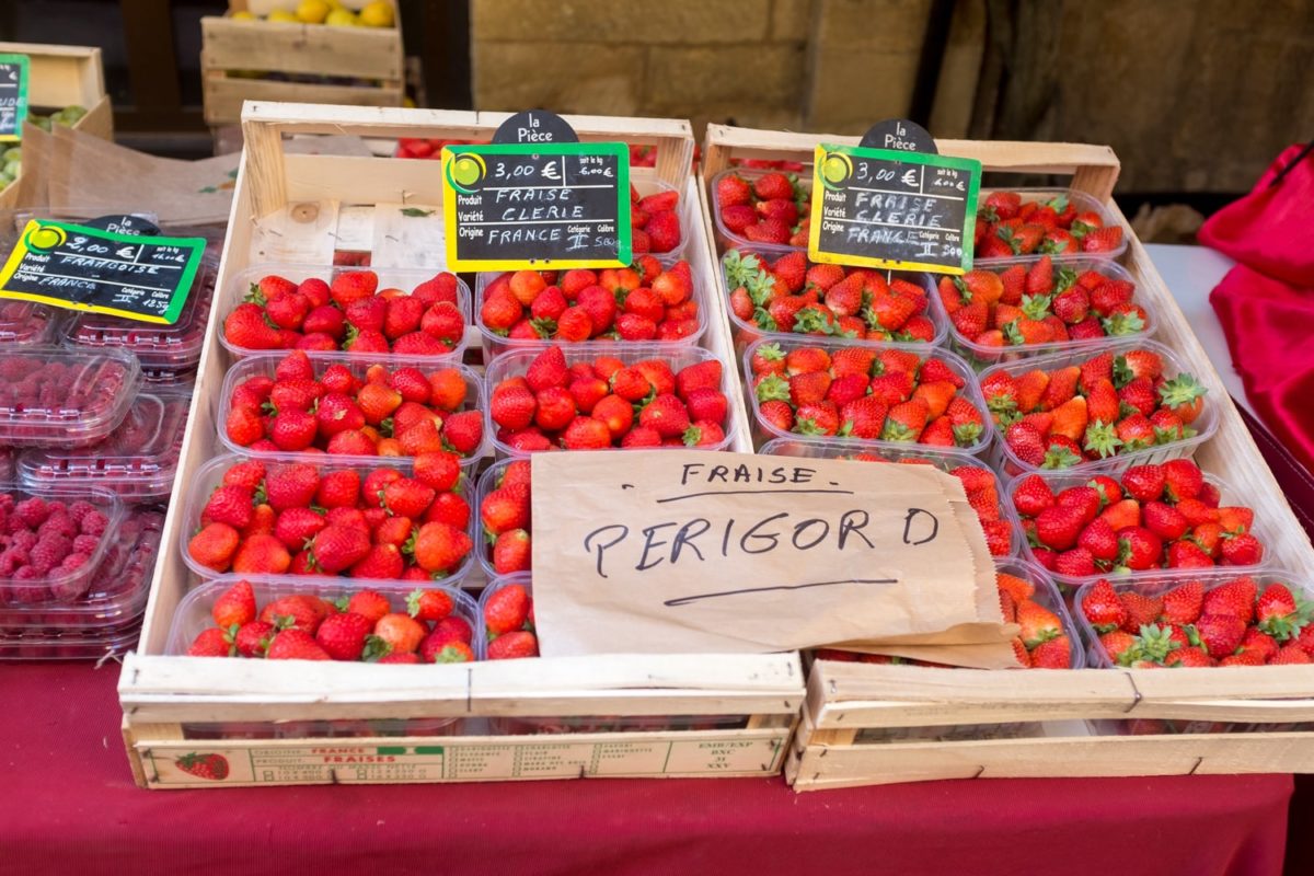 fraises du Périgord
