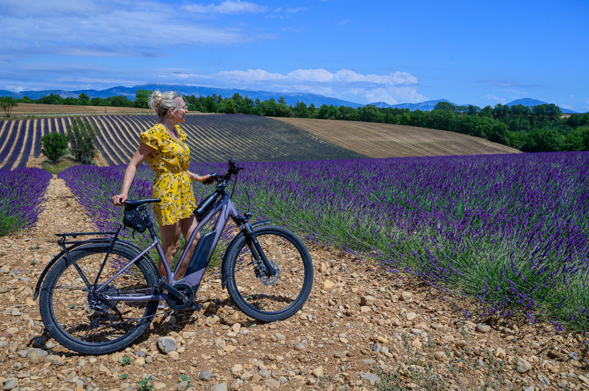 Décourir les champs de lavande à Vélo