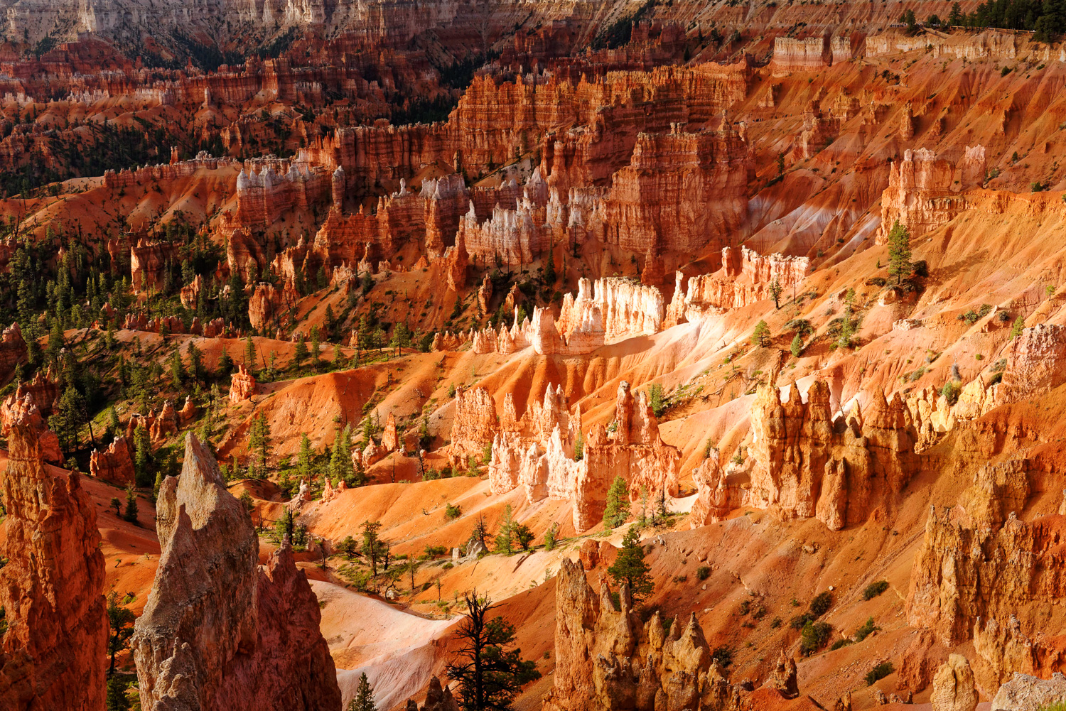 Bryce Canyon