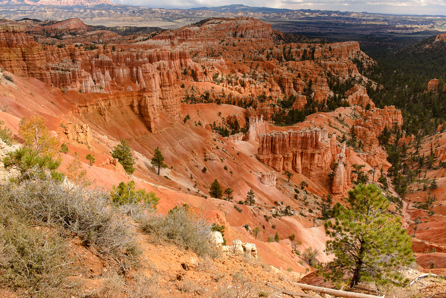 Bryce Canyon National Park