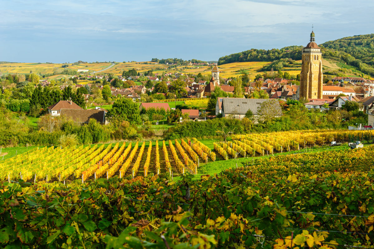 Vue sur Arbois en automne