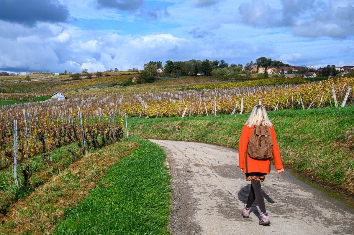 Randonnée dans les vignes