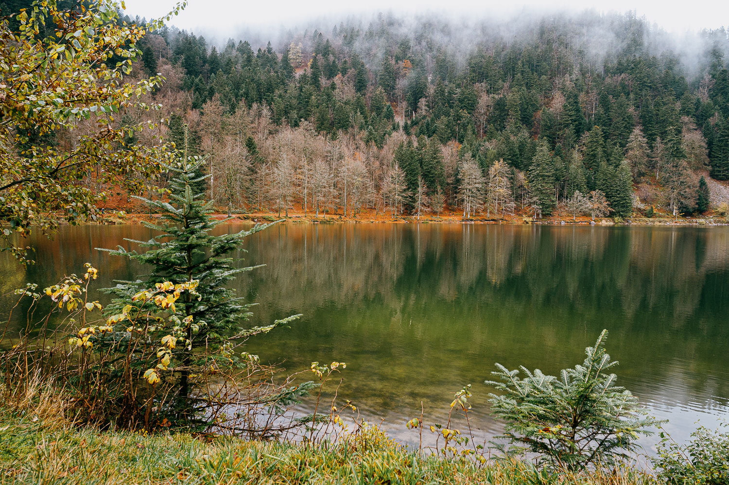 Lac des Corbeaux à l'automne