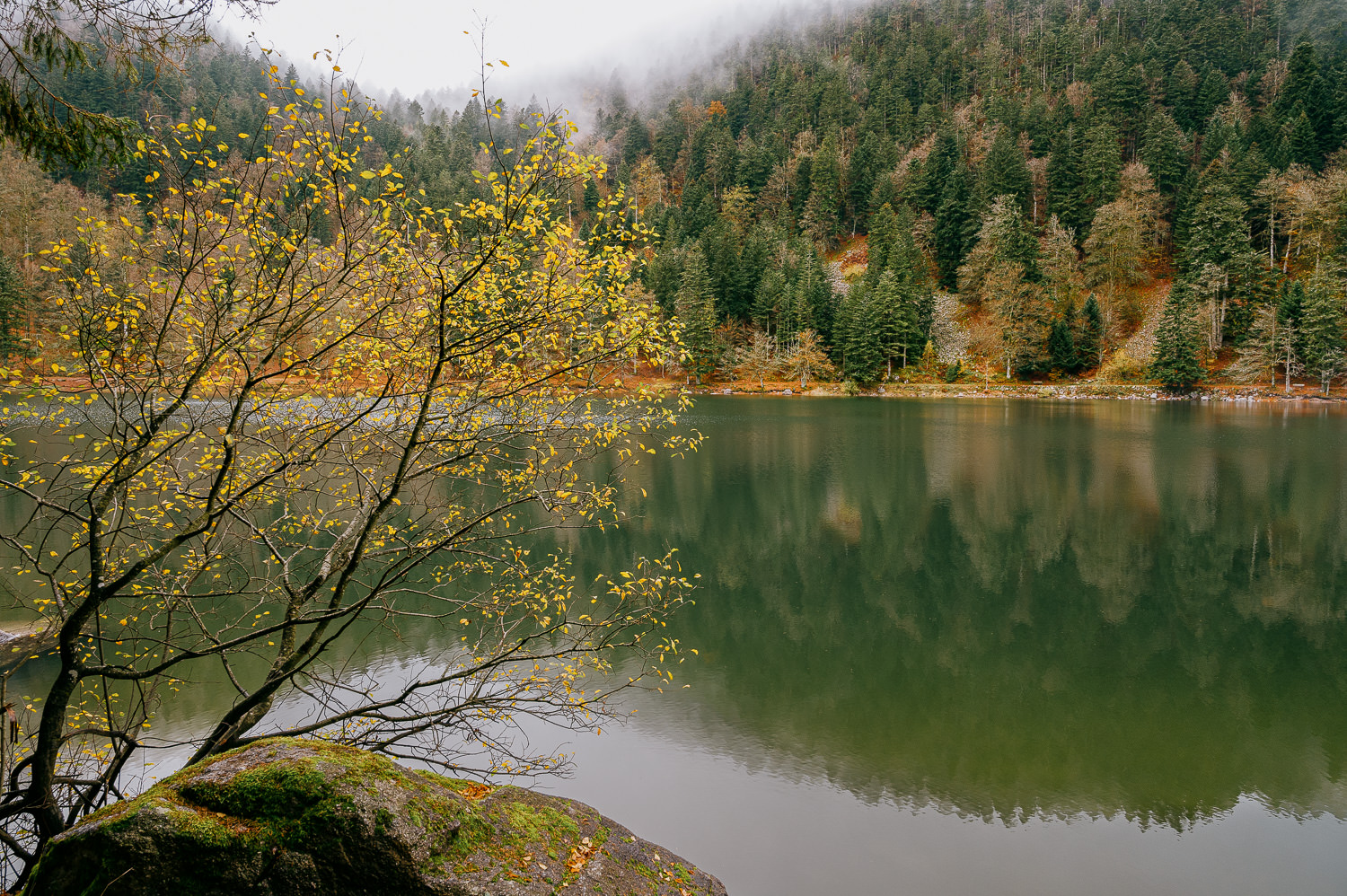 Lac des Corbeaux en automne